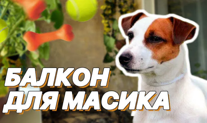 Балкон для Масика
