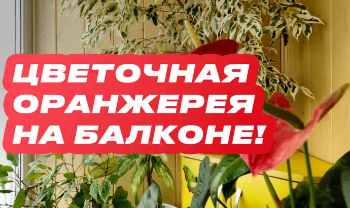 Цветочная оранжерея на балконе